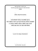 Giải pháp nâng cao hiệu quả huy động vốn tại Ngân hàng nông nghiệp và phát triển nông thôn Việt Nam trên địa bàn thành phố Hồ Chí Minh