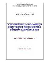 Các Biện Pháp Thu Hút và Nâng Cao Hiệu Quả Sử Dụng Vốn Đầu Tư Trực tiếp nước ngoài trên địa bàn Thành phố Hồ Chí Minh