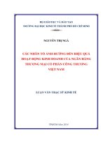 Các nhân tố ảnh hưởng đến hiệu quả hoạt động kinh doanh Ngân hàng Thương mại Cổ phần Công thương Việt Nam
