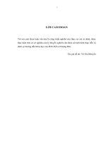 Giải pháp ứng dụng hiệp ước Basel II vào hệ thống quản trị rủi ro tại các Ngân hàng thương mại Việt Nam