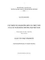 Các nhân tố ảnh hưởng đến cấu trúc vốn của các ngân hàng thương mại Việt Nam