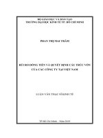 Rủi ro dòng tiền và quyết định cấu trúc vốn của các công ty tại Việt Nam