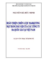 Hoàn Thiện Chiến Lược Marketing Mặt Hàng Dầu Gội của Các Công Ty Đa Quốc gia tại Việt Nam