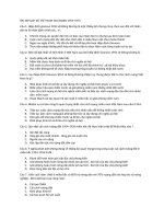 Câu hỏi ôn tập lịch sử 12