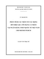 Phân tích các nhân tố tác động đến hiệu quả tín dụng cá nhân tại Ngân hàng Thương mại cổ phần Quốc tế Việt Nam chi nhánh thành phố Hồ Chí Minh