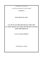 Các yếu tố tác động đến kết quả công việc của nhân viên kế toán trong môi trường ứng dụng công nghệ thông tin