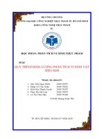 Quy trình định lượng tổng số vi sinh vật hiếu khí