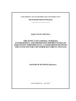 The Effect of Earning, Working Environment, and Promotion Opportunities on Employees'''' Performance: A Comparison Between the State Sector and Other Sectors in Vietnam : Luận văn Thạc sĩ