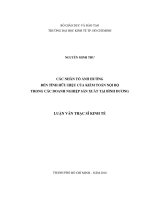 Các nhân tố ảnh hưởng đến tính hữu hiệu của kiểm toán nội bộ trong các doanh nghiệp sản xuất tại Bình Dương