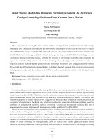 Asset pricing model and efficiency porfolio investment on difference foreign ownership evidence from vietnam stock market 