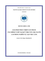 Giải pháp phát triển sản phẩm tài chính vi mô tại Quỹ trợ vốn cho người lao động nghèo tự tạo việc làm