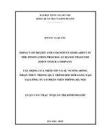 Impact of belief and cognitive similarity in the innovation process at hanoi telecom joint stock company 