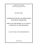 E marketing strategy of mobile world investment corporation (luận văn thạc sĩ luật học) 