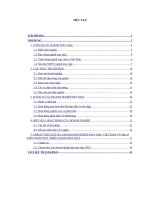 tiểu luận tổ chức ngành phân tích thị trường ngành may mặc ở việt nam 