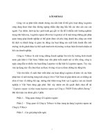 tiểu luận môn logistics logistics ngược và thực trạng logistics ngược tại công ty TNHH tribecobình dương 