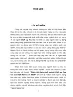 tiểu luận tổ chức ngành báo cáo phân tích bản chất ngành dịch vụ lưu trú của việt nam năm 2010 