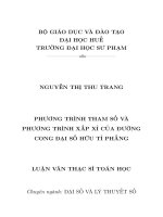 Phương trình tham số và phương trình xấp xỉ của đường cong đại số hữu tỷ phẳng 