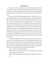 tiểu luận môn logistics nâng cao tính khách quan của chỉ số năng lực logistics (LPI) 