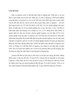 tiểu luận môn logistics quy trình quản lý kho hàng của amazon 