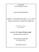 Nghiên cứu thành phần hoá học của cây tía tô (perilla frutescens) ở tỉnh thừa thiên huế 