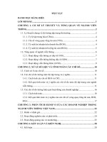 tiểu luận tổ chức ngành báo cáo thị trường ngành viễn thông việt nam năm 2010 