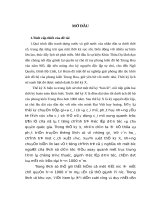 Thạc sĩ chính trị học Tư tưởng chính trị việt nam thế kỷ x