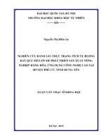 Nghiên cứu đánh giá thực trạng tích tụ ruộng đất quy mô lớn để phát triển sản xuất nông nghiệp hàng hóa, ứng dụng công nghệ cao tại huyện phù cừ, tỉnh hưng yên (luận văn thạc sĩ khoa học) 