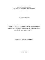 Nghiên cứu xử lý thuốc bảo vệ thực vật DDT trong đất bằng kỹ thuật phyto fenton trên cơ sở hệ vetiver nano fe3o4 (luận văn thạc sĩ khoa học) 
