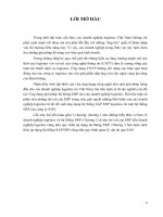 tiểu luận môn logistics ứng dụng giải pháp hệ thống ERP cho các doanh nghiệp logistics 