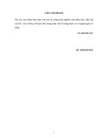 một số giải pháp nâng cao hiệu quả sử dụng vốn tại công ty cổ phần tm   xnk thuận thành​ 