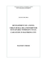 Development of a novel urban rural relationship for sustainable nitrogen cycle casestudy in hai phong city 
