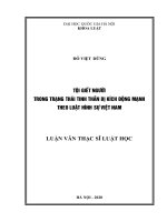 Tội giết người trong trạng thái tinh thần bị kích động mạnh theo luật hình sự việt nam 