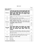 LUẬN văn THẠC SĨ    NĂNG lực LÃNH đạo của cán bộ ủy BAN NHÂN dân cấp xã HUYỆN TỊNH BIÊN, TỈNH AN GIANG