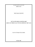 Giữ người trong trường hợp khẩn cấp theo luật tố tụng hình sự việt nam 