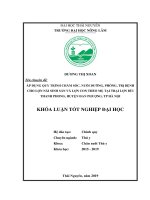 Áp Dụng Quy Trình Chăm Sóc, Nuôi Dưỡng, Phòng, Trị Bệnh Cho Lợn Nái Sinh Sản Và Lợn Con Theo Mẹ Tại Trại Lợn Bùi Thanh Phong, Huyện Đan Phượng, Tp Hà Nội​