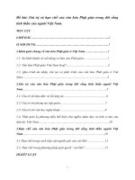 Đại cương văn hoá Việt Nam: "Giá trị và hạn chế của văn hóa Phật giáo trong đời sống tinh thần của người Việt Nam".