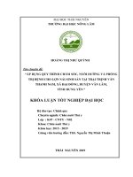 Áp Dụng Quy Trình Chăm Sóc, Nuôi Dưỡng Và Phòng Trị Bệnh Cho Lợn Nái Sinh Sản Tại Trại Trịnh Văn Thanh Nam, Xã Đại Đồng, Huyện Văn Lâm, Tỉnh Hưng Yên​