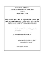 Ảnh hưởng của đổi mới sản phẩm xanh, đổi mới quy trình xanh, chấp nhận rủi ro đến thành công của sản phẩm mới xanh 