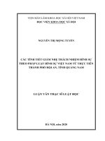 Các Tình Tiết Giảm Nhẹ Trách Nhiệm Hình Sự Theo Pháp Luật Hình Sự Việt Nam Từ Thực Tiễn Thành Phố
