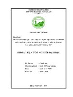 Đánh Giá Hiệu Quả Của Việc Sử Dụng Hệ Thống Tưới Đơn Giản Nhằm Nâng Cao Hiệu Quả Kinh Tế