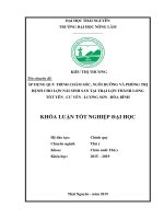Áp Dụng Quy Trình Chăm Sóc, Nuôi Dưỡng Và Phòng Trị Bệnh Cho Lợn Nái Sinh Sản Tại Trại Lợn Thành Long Tốt Yên - Cư Yên - Lương Sơn - Hòa Bình​