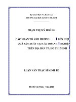 Các nhân tố ảnh hưởng đến hiệu quả sản xuất tại các doanh nghiệp trên địa bàn tp  hồ chí minh 