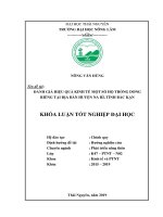 Đánh Giá Hiệu Quả Kinh Tế Một Số Hộ Trồng Dong Riềng Tại Địa Bàn Huyện Na Rì, Tỉnh Bắc Kạn