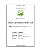 Tìm hiểu quy trình hoạt động sản xuất kinh doanh của công ty cổ phần dinh dưỡng hải thịnh   bắc ninh​ 