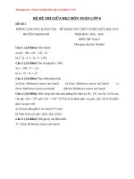 Tổng hợp đề thi giữa HK2 môn Toán lớp 6 có đáp án