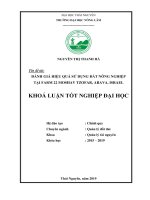 Đánh Giá Việc Thế Chấp Bằng Giá Trị Quyền Sử Dụng Đất Giai Đoạn 2016 - 2018