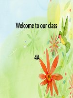 Grade 4 Unit 9 Lesson 1 what colour is it