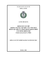 Bước đầu xây dựng mô hình đánh giá hoạt tính đông cầm máu của công thức dược liệu định hướng tác dụng điều trị trĩ trên mô hình in vitro 