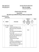 Kế hoạch dạy học môn Tin học THCS năm học 20202021