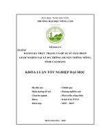 Đánh Giá Thực Trạng Và Đề Xuất Giải Pháp Giảm Nghèo Tại Xã Đa Thông, Huyện Thông Nông, Tỉnh Cao Bằng